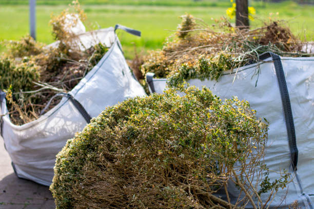 Shed Removal in Lakeland South, WA